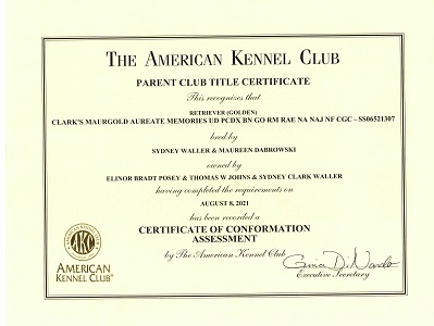 SmallPicture of Title Certificate