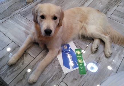 SmallPicture of Rhys earning 1st BN leg