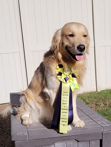 SmallPicture of Rhys