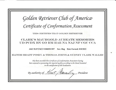 SmallPicture of Title Certificate