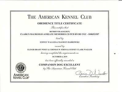 SmallPicture of Rhys earning 3rd BN leg