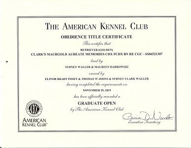 SmallPicture of GO title