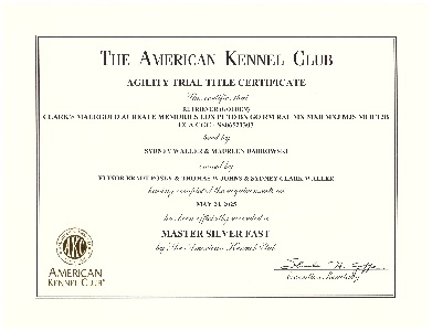 Small Picture of Rhys Cert