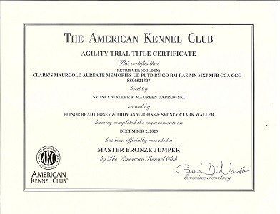 Small Picture of Rhys Cert