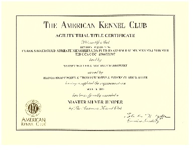 Small Picture of Rhys Cert