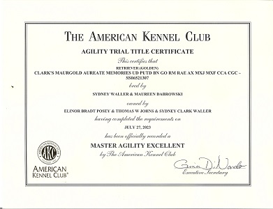 Small Picture of Cert