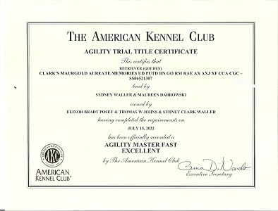 Small Picture of Rhys