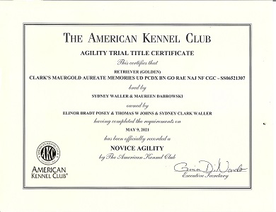 Small Picture of Rhys