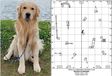 Small Picture of Rhys