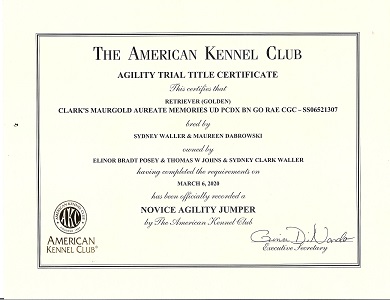 SmallPicture of Title Certificate