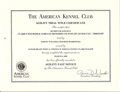 SmallPicture of Title Certificate