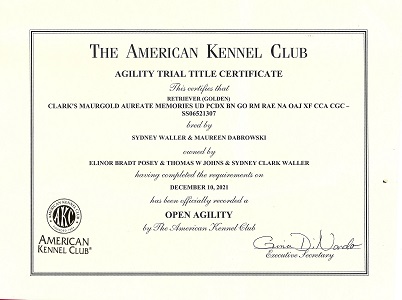 Small Picture of Rhys