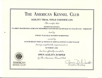 Small Picture of Rhys