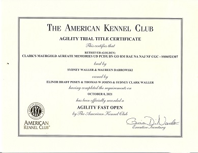 Small Picture of Rhys