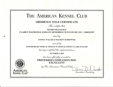 SmallPicture of Rhys earning 3rd BN leg