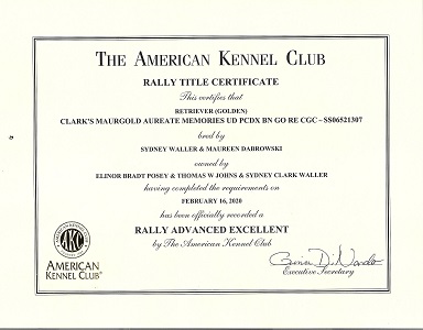 Small Picture of Magic