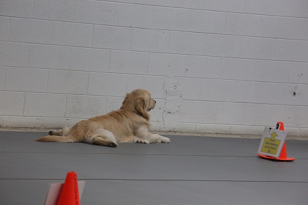 Small Picture of Rhys