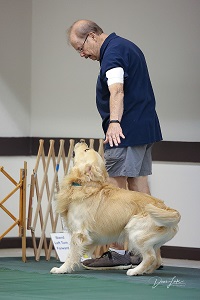 Small Picture of Rhys