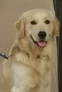 Small Picture of Rhys