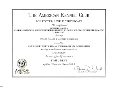 Small Picture of Rhys Cert