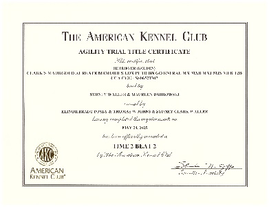 Small Picture of Rhys Cert