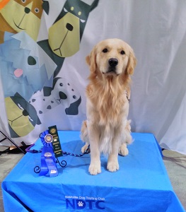 SmallPicture of Rhys earning 2nd UA leg