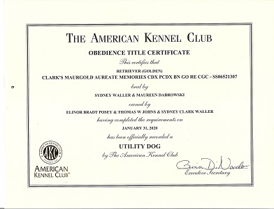 SmallPicture of UD title