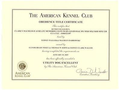 SmallPicture of UD title