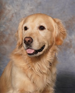 Small Picture of Rhys