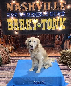 Small Picture of Rhys