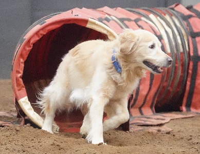 SmallPicture of Rhys