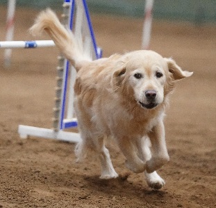 Small Picture of Rhys