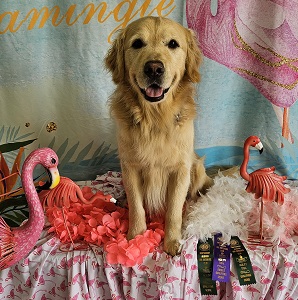 Small Picture of Rhys