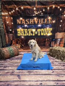 Small Picture of Rhys