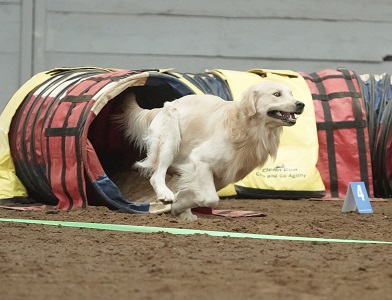 SmallPicture of Rhys earning 2nd leg